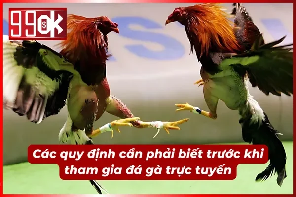 Luật chơi đá gà trực tuyến cơ bản tại 99OK