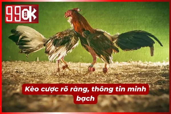 Tất cả thông tin, kèo tại đây được công khai minh bạch