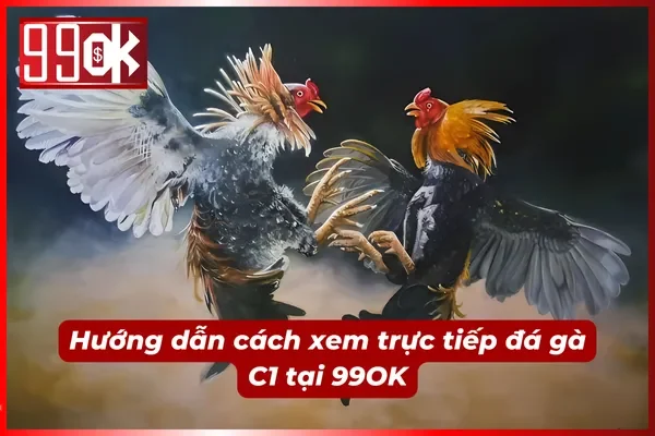 Chia sẽ nhanh cách xem trực tiếp đá gà C1