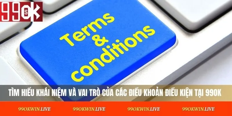 Tìm hiểu khái niệm và vai trò của các điều khoản điều kiện tại 99OK